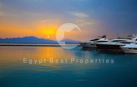 1 Bedroom Chalet for Sale in Soma Bay, Red Sea - Screenshot_12-7-2025_134539_. jpeg