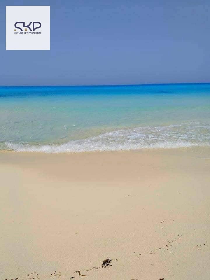 4 d2723eb0-db64-49c5-bd31-534001b393a8. jpeg