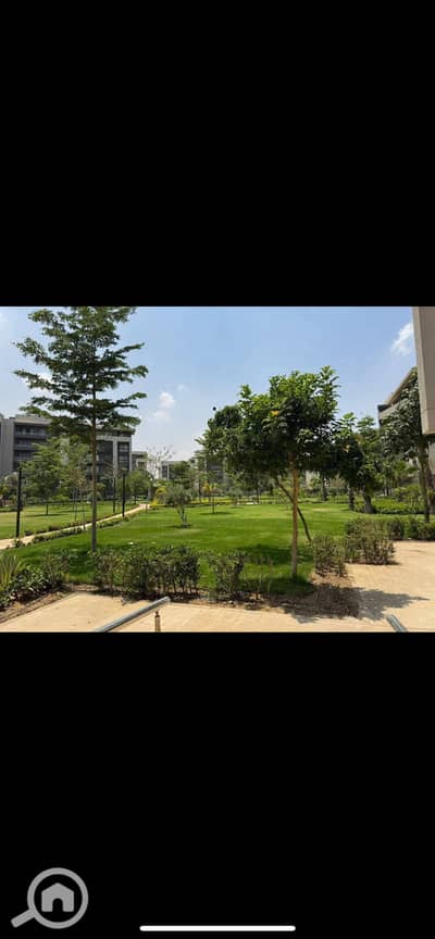3 Bedroom Apartment for Rent in Madinaty, Cairo - IMG_6941. png
