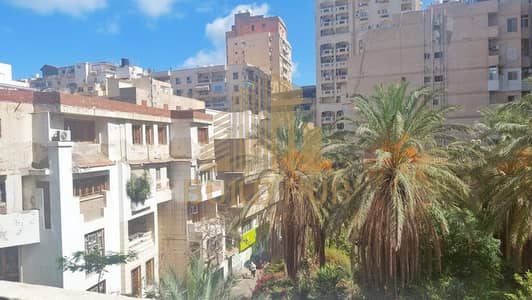 4 Bedroom Flat for Sale in Laurent, Alexandria - 683fe980-ffcf-439c-874e-801170e87ec8. jpeg