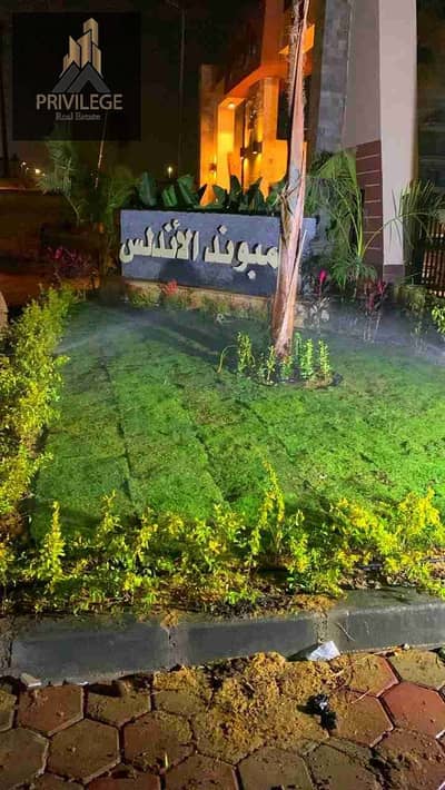 شقة 3 غرف نوم للبيع في القاهرة الجديدة، القاهرة - 1000041325. jpg