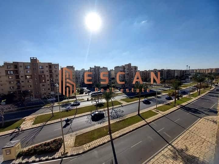 17 de4c7516-af78-409e-b55d-56d2f80132c7. jpg