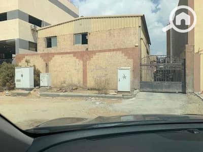 مصنع  للايجار في العامرية، الإسكندرية - IMG_2263. jpg