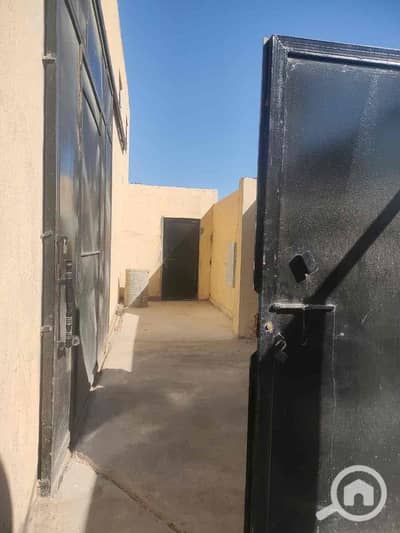 مصنع  للايجار في العامرية، الإسكندرية - a81be666-ec6d-4a06-869e-d76c416290ac. jpg