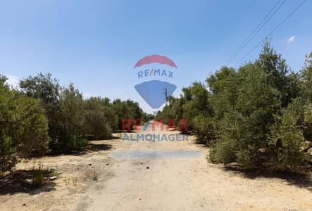 أرض سكنية  للبيع في 6 أكتوبر، الجيزة - ef3e9dc0-dda1-11ed-a782-0281a528b874. jpg