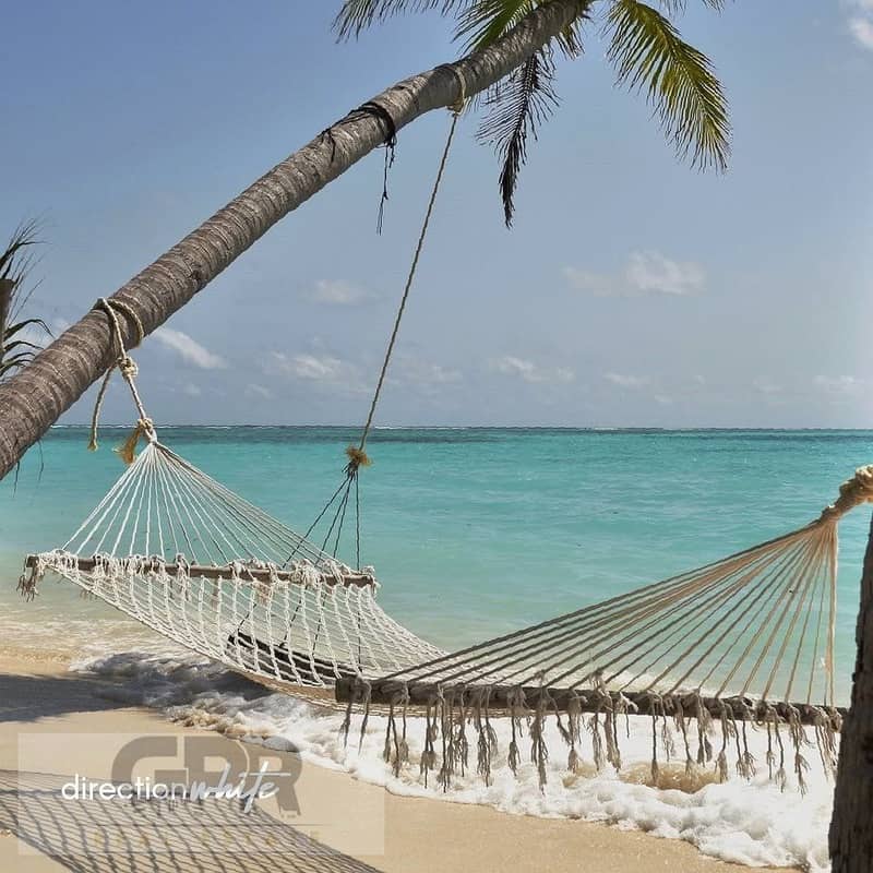 12 520517903_620020297796970_3750551569023007521_n. jpg