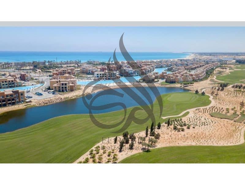 10 19014823-43cb-41da-aa07-3f9031f9e777 (1). jpg