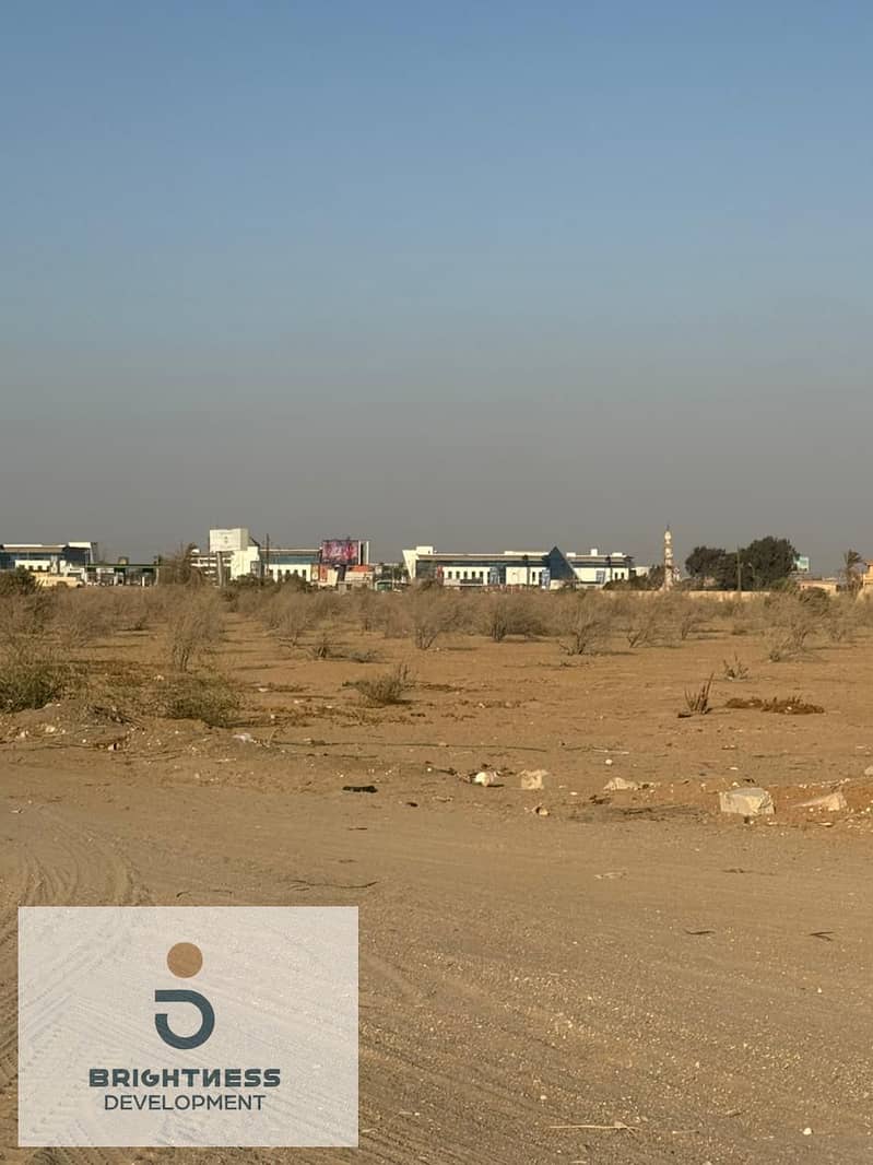 4 19. jpg