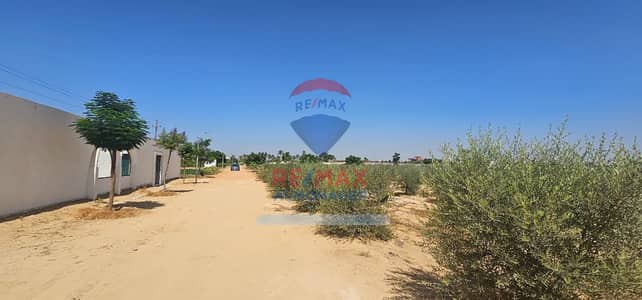 أرض سكنية  للبيع في 6 أكتوبر، الجيزة - IMG-20250923-WA0347. jpg