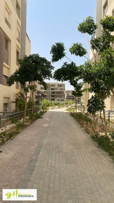 3 Bedroom Flat for Sale in New Cairo, Cairo - IMG-20240511-WA0340. jpg