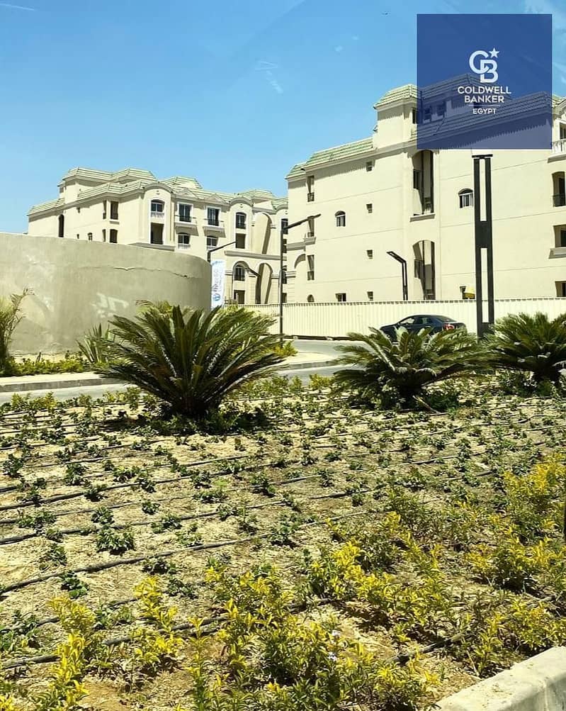 10 3a4f0378-f82c-4f13-9f1d-cbe654ff76b2. jpeg