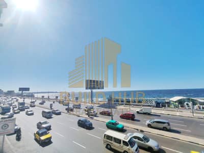 2 Bedroom Flat for Rent in Sporting, Alexandria - cc5c5c78-5814-4a53-ab7c-e630b1939828. jpeg