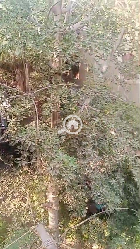 9 WhatsApp Video 2025-09-24 at 16.39. 12_6d5c3316_000063. jpg