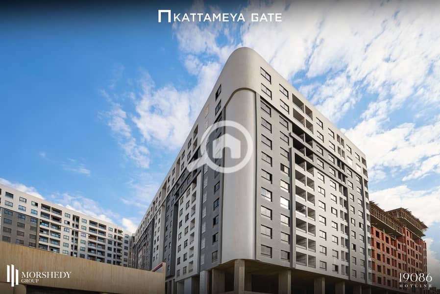 10 قطاميه جيت . jpg