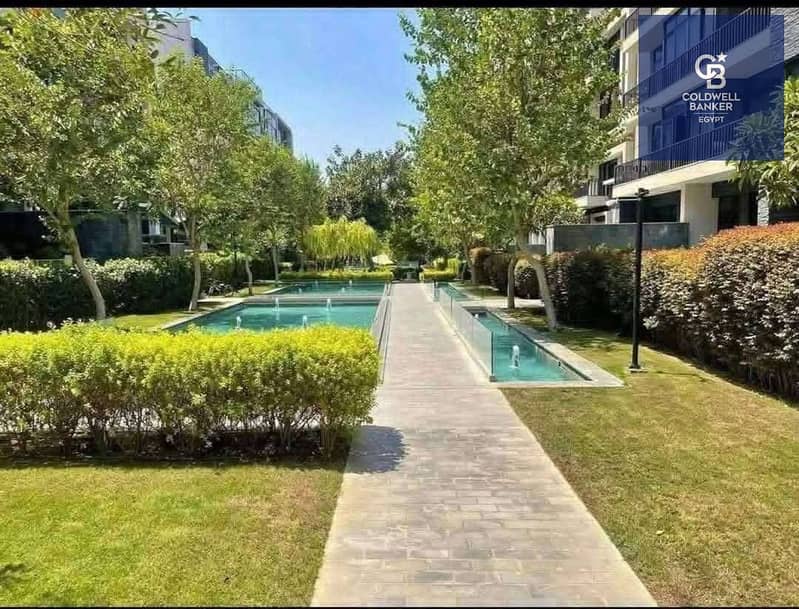 11 541784038_122248641308168632_976576062787033131_n. jpg