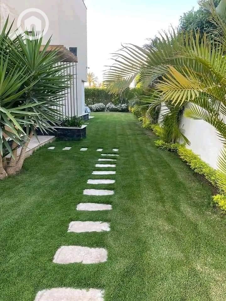 3 467832070_494023853686524_5393060993808280954_n. jpg