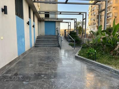 مکتب  للبيع في زهراء المعادى، القاهرة - WhatsApp Image 2025-09-24 at 11.11. 43 AM (3). jpeg