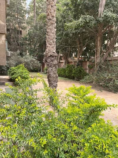أرض سكنية  للبيع في حدائق الاهرام، الجيزة - 841 م قطعة ارض حدائق الاهرام البوابه٣ منقرع