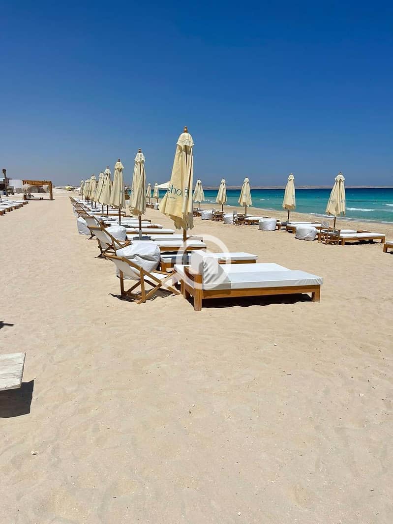 10 535643917_4172250283061678_5970913828715653093_n. jpg