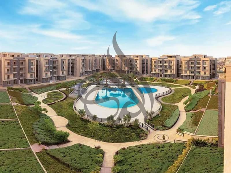 11 Page-6-Image-8. jpg