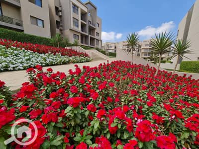 3 Bedroom Flat for Rent in New Cairo, Cairo - 310562862_496442542356110_8517887291047629770_n. jpg 3 Bedroom Flat for Rent in New Cairo, Cairo - 310562862_496442542356110_8517887291047629770_n. jpg