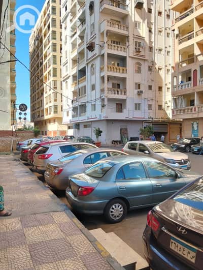 2 Bedroom Flat for Rent in Moharam Bik, Alexandria - WhatsApp Image 2025-09-25 at 1.55. 11 PM. jpeg