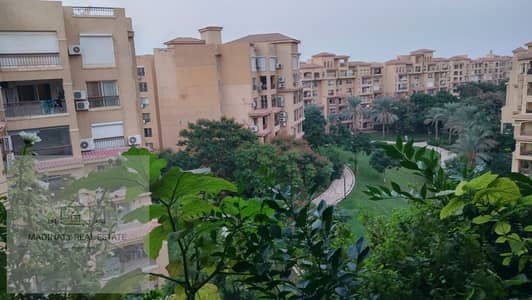 4 Bedroom Apartment for Sale in Madinaty, Cairo - WhatsApp Image 2025-09-25 at 2.48. 20 PM (2). jpeg