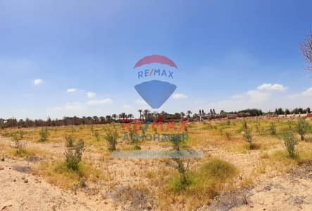 مصنع  للبيع في العامرية، الإسكندرية - 027f31ec-dda2-11ed-a8be-0a1b7bd74ca6. jpg
