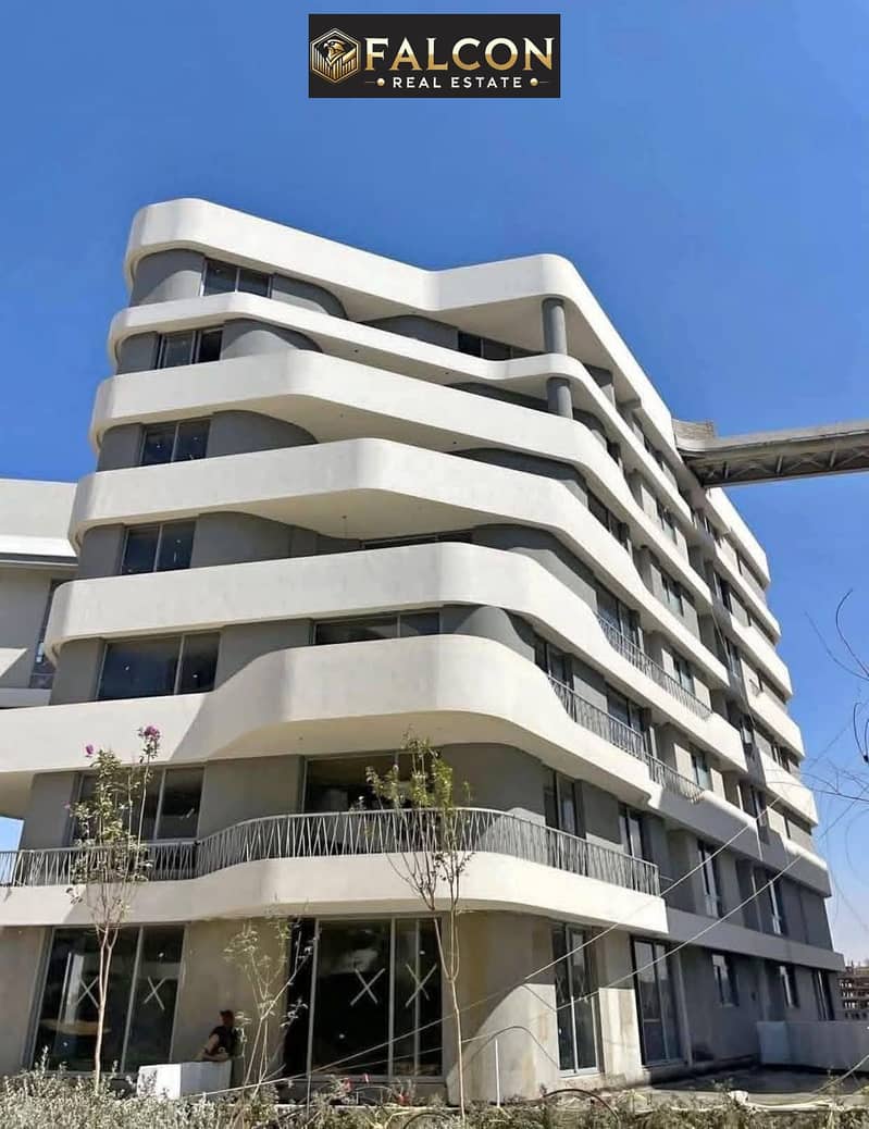 10 549351801_122270464424231925_5784384621923051852_n. jpg