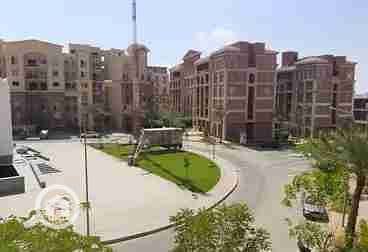 8 1000305072. webp