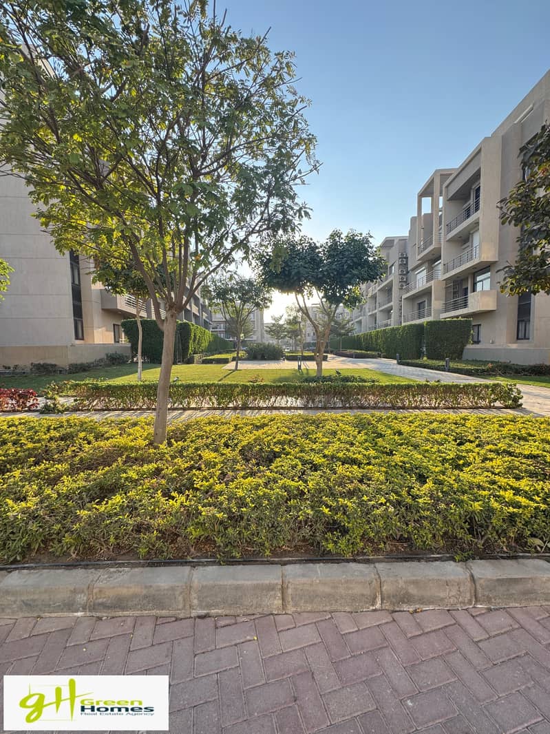 3 IMG-20241214-WA0462. jpg