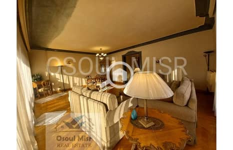 2 Bedroom Apartment for Rent in Dokki, Giza - 2aa879da-29d2-4496-8fd7-06b5a7e8ad09. jpg