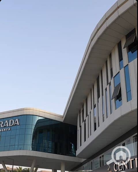 safasfa. JPG