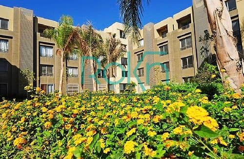 8 medium_IMG_9141_Moheb_Botros. jpeg