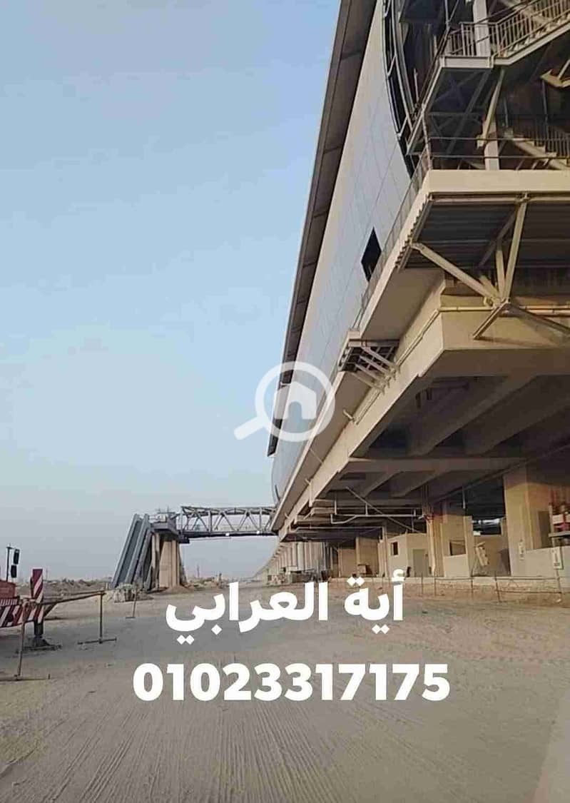 3 1000001695. jpg