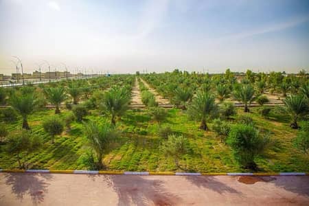 أرض سكنية  للبيع في 6 أكتوبر، الجيزة - أرض للبيع فى الحزام الأخضر