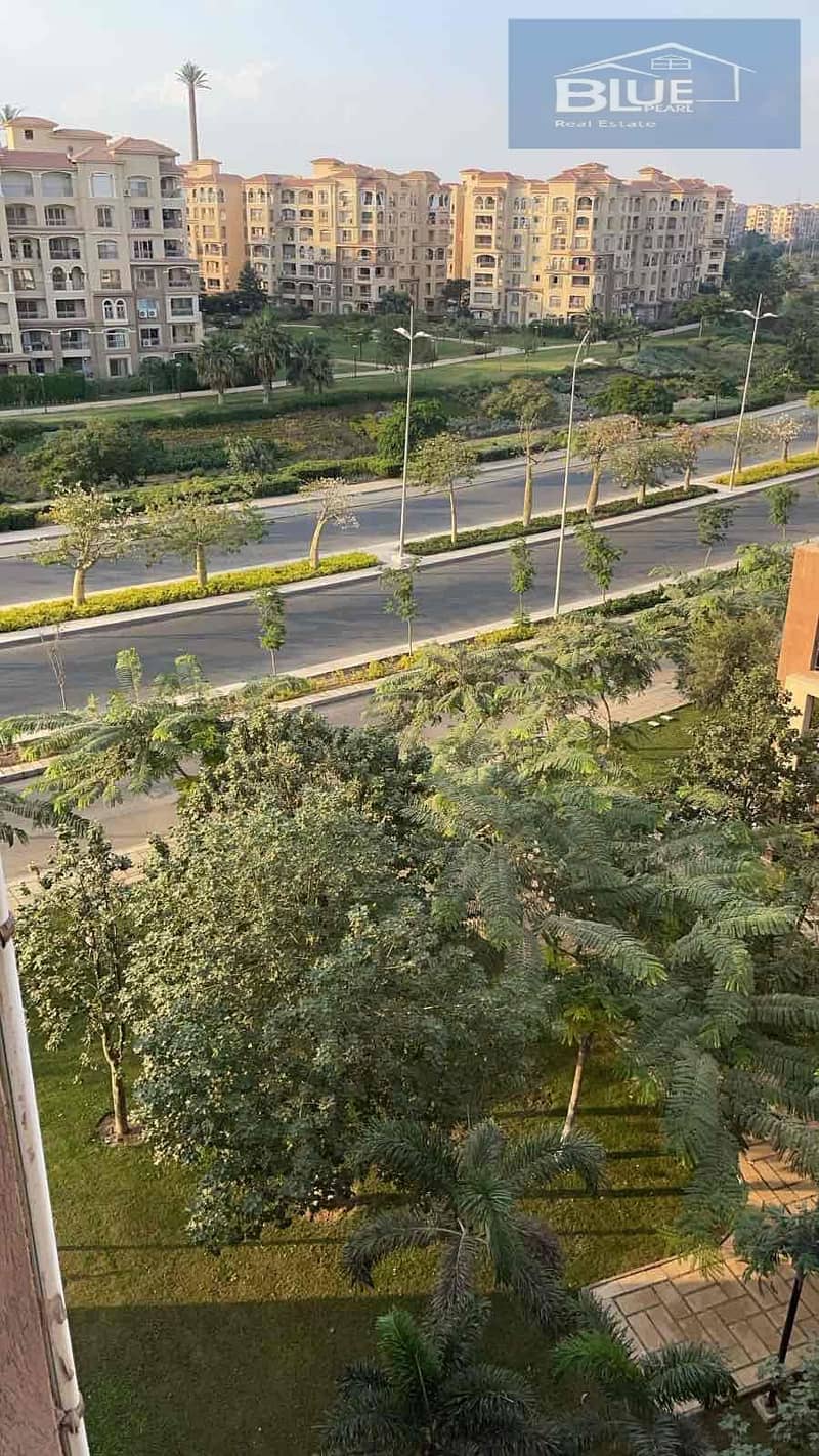 IMG_8470. jpg IMG_8470. jpg