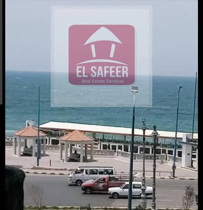 Office for Rent in Sporting, Alexandria - 3d476488-18c7-4c99-bdfa-efce532be9c7. jpg