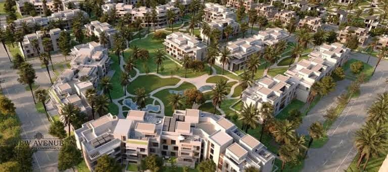 6 WhatsApp Image 2025-09-25 at 4.35. 21 PM. jpeg