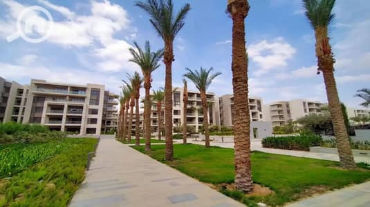 3 Bedroom Apartment for Sale in New Cairo, Cairo - 4458547-a9a46o. jpg