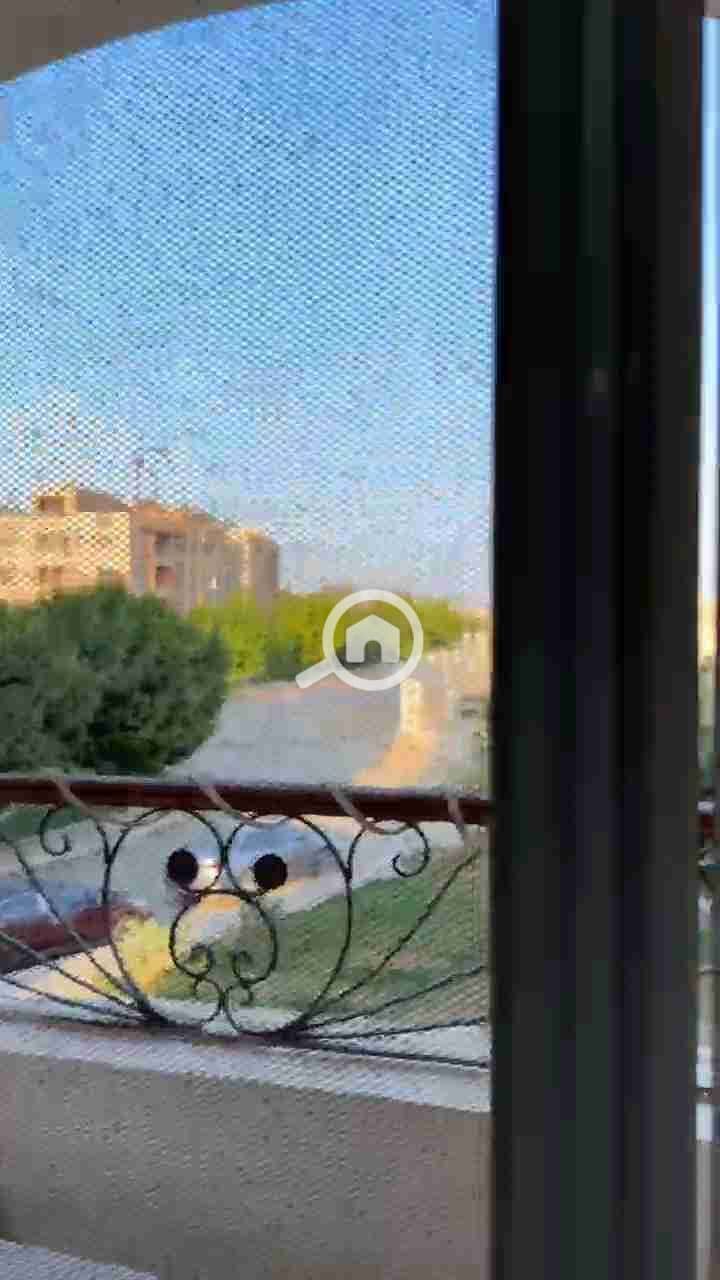 9 1000961766. jpg