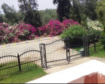 زراعي  للبيع في 6 أكتوبر، الجيزة - مزرعه منتجه بفيلا وسيارة جديده للتنقل مسجله مكيفه بفرش بكمبوند