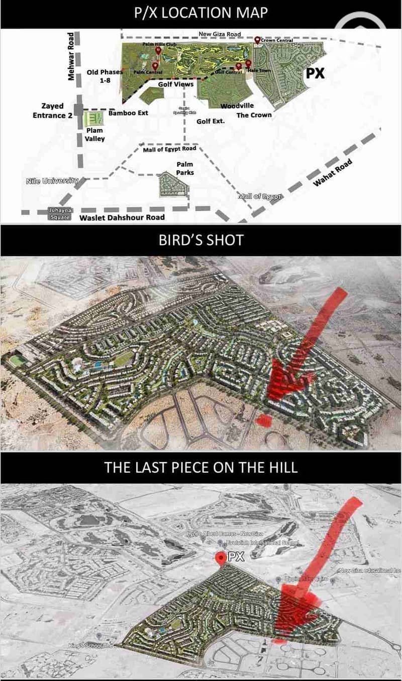 5 1001402902. jpg