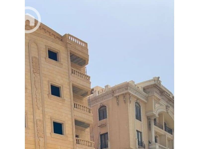 2 النرجس===. jpg