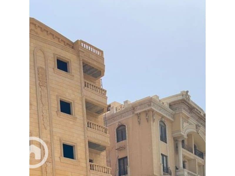 3 النرجس00000000. jpg