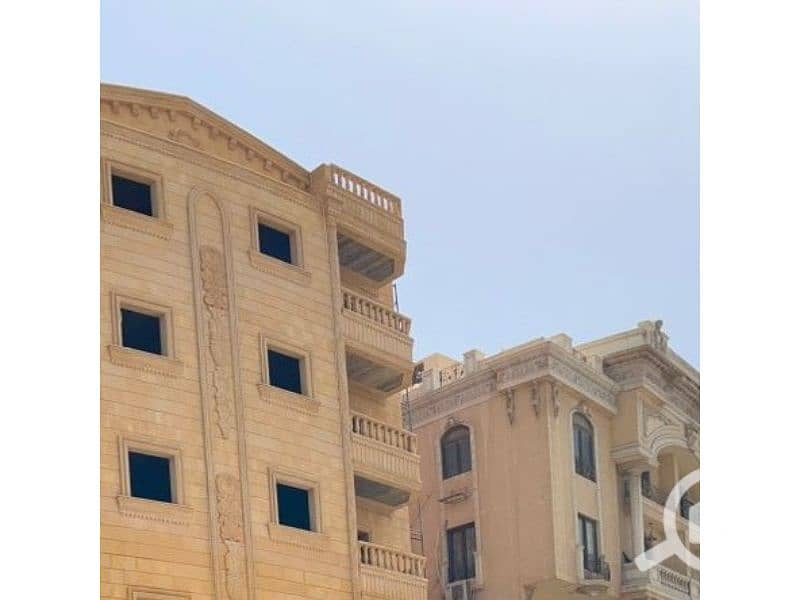 4 النرجس666666666. jpg