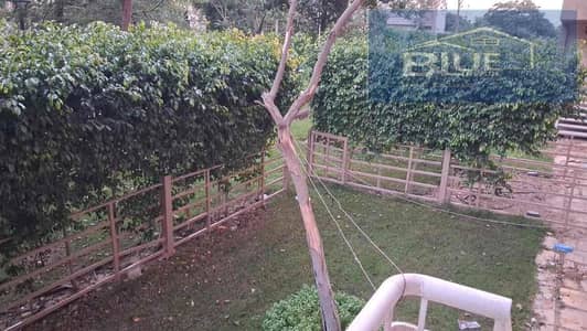 3 Bedroom Apartment for Rent in Madinaty, Cairo - 6d00498f-8144-41f0-9e73-212eae4838d6. jpg