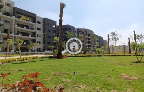 3 Bedroom Flat for Sale in Sheraton, Cairo - WhatsApp Image 2025-04-16 at 2.05. 13 PM. jpeg