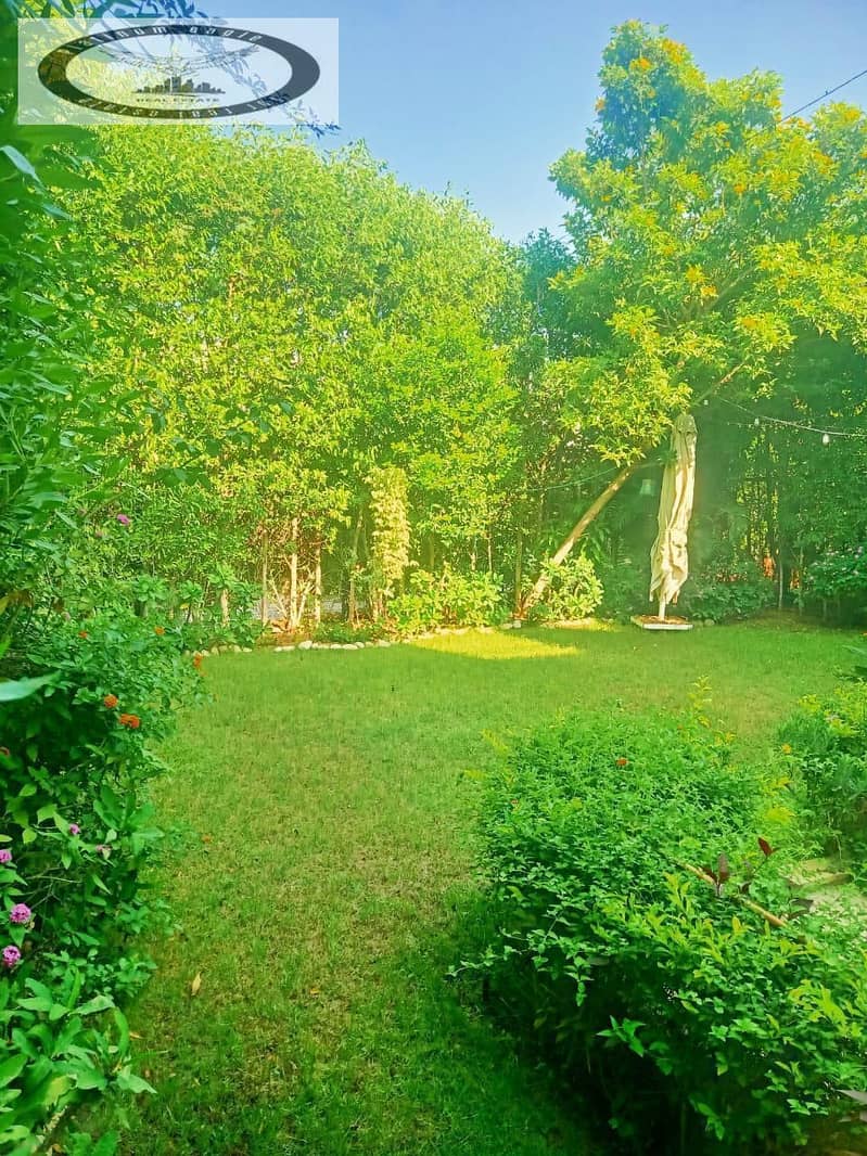 2 4ed2ab68-c65d-4904-b10d-ba6c061fc412. jpg