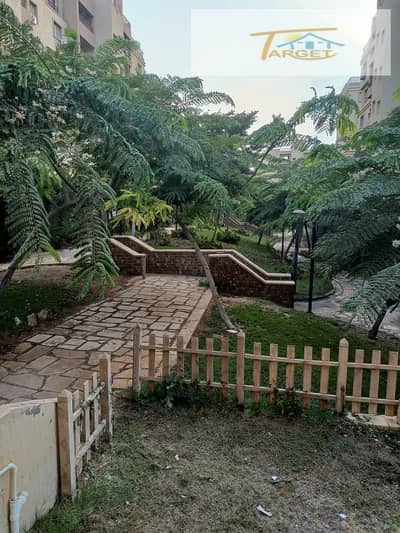 3 Bedroom Apartment for Sale in Madinaty, Cairo - WhatsApp Image 2025-09-24 at 3.22. 36 PM (1). jpeg